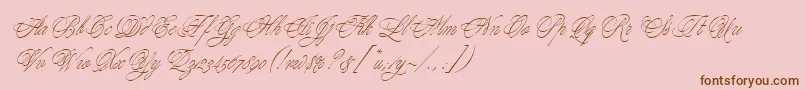 YoungBaroqueLetPlain.1.0-Schriftart – Braune Schriften auf rosa Hintergrund