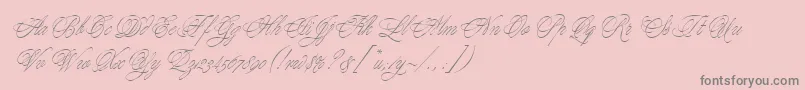YoungBaroqueLetPlain.1.0 Font – Gray Fonts on Pink Background
