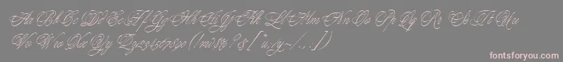 YoungBaroqueLetPlain.1.0 Font – Pink Fonts on Gray Background