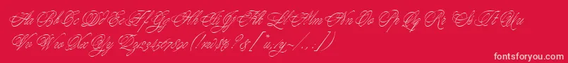 YoungBaroqueLetPlain.1.0-Schriftart – Rosa Schriften auf rotem Hintergrund