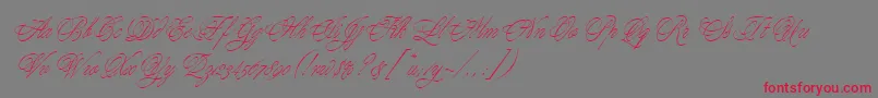 Шрифт YoungBaroqueLetPlain.1.0 – красные шрифты на сером фоне