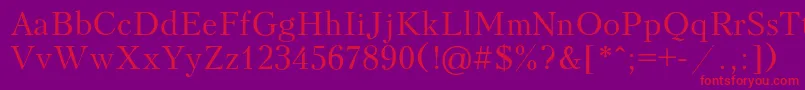 PeterburgRegular Font – Red Fonts on Purple Background