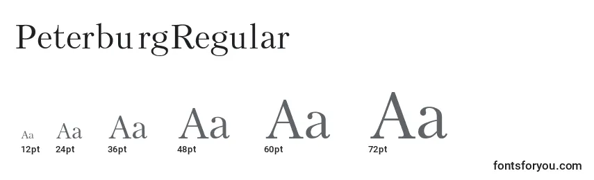 Размеры шрифта PeterburgRegular