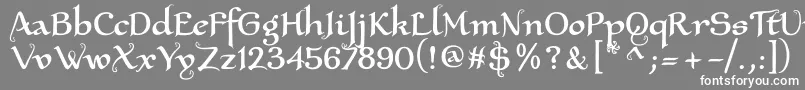 フォントXaltrn2u – 灰色の背景に白い文字