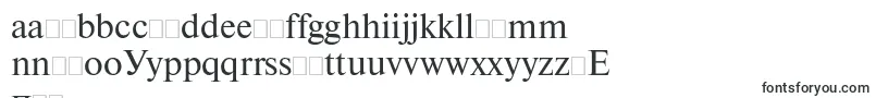 Newtonftt Font – Polish Fonts