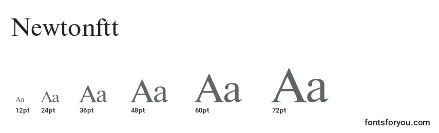 Newtonftt Font Sizes
