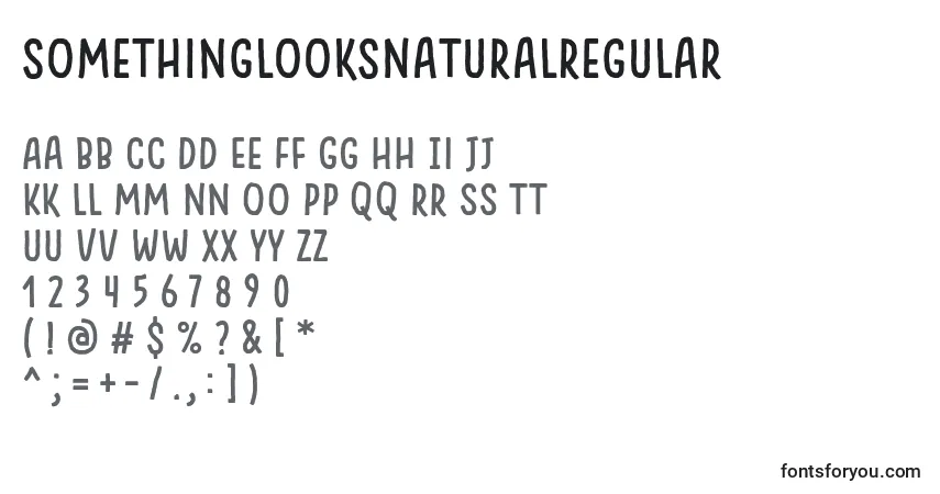 A fonte SomethingLooksNaturalRegular – alfabeto, números, caracteres especiais