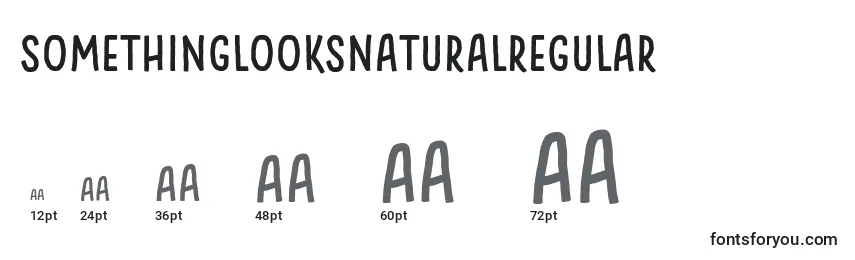 Размеры шрифта SomethingLooksNaturalRegular