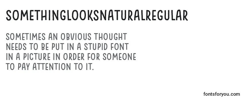 Review of the SomethingLooksNaturalRegular Font