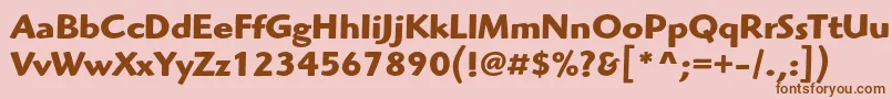 Police HighlanderstdBold – polices brunes sur fond rose