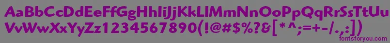 Шрифт HighlanderstdBold – фиолетовые шрифты на сером фоне