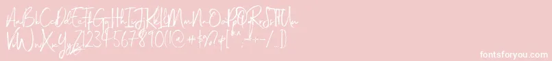 Magnite Font – White Fonts on Pink Background