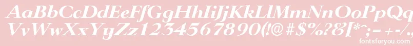 LingwoodserialXboldItalic Font – White Fonts on Pink Background