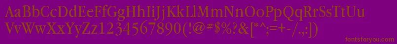 Garamondbooknarrowett Font – Brown Fonts on Purple Background