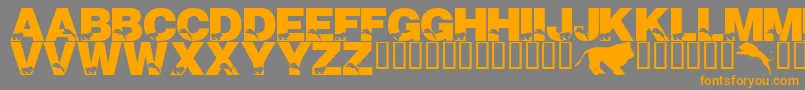 Police LmsTheLionsOfTsavo – polices orange sur fond gris