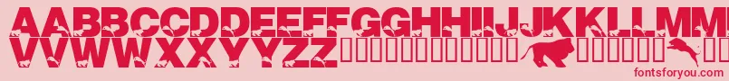LmsTheLionsOfTsavo Font – Red Fonts on Pink Background