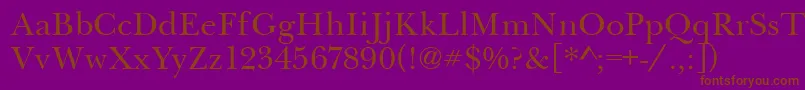 BaskervilleHandcut Font – Brown Fonts on Purple Background