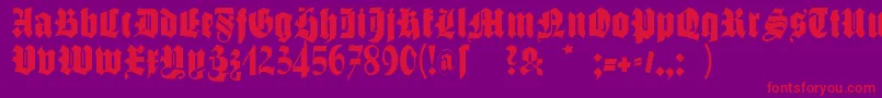 Schmalfettegotisch Font – Red Fonts on Purple Background