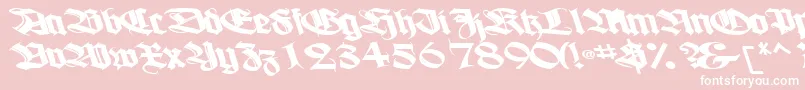 Boogiewoogiebold112Bold Font – White Fonts on Pink Background