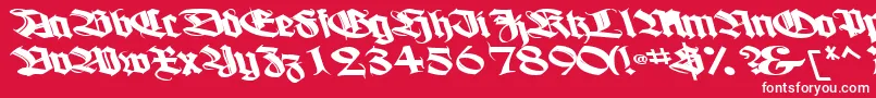 Boogiewoogiebold112Bold Font – White Fonts on Red Background