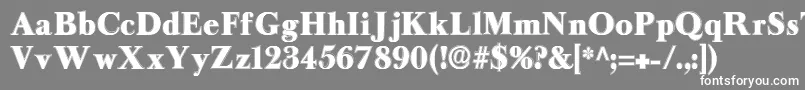 フォントLongislandcontour – 灰色の背景に白い文字