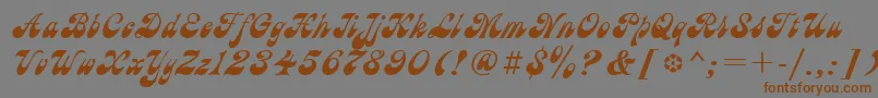 AstronCyrillic Font – Brown Fonts on Gray Background