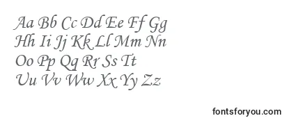 Обзор шрифта Mtcorsva