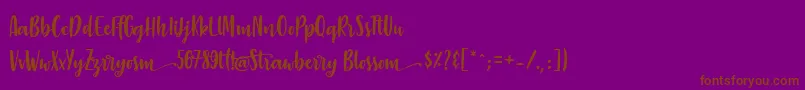 StrawberryBlossom Font – Brown Fonts on Purple Background