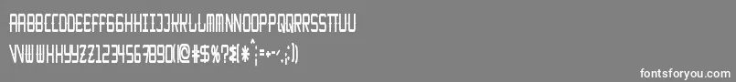 フォントKitchencowboyThin – 灰色の背景に白い文字