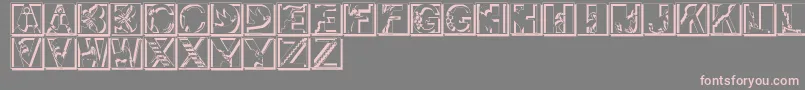 Pixcapsshadow Font – Pink Fonts on Gray Background