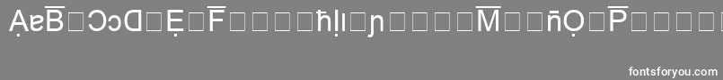 BookshelfSymbol4 Font – White Fonts on Gray Background