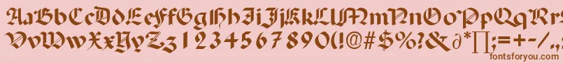 PaladinDb Font – Brown Fonts on Pink Background