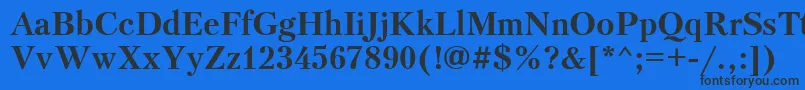 PetersburgBold Font – Black Fonts on Blue Background