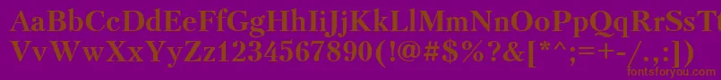 PetersburgBold Font – Brown Fonts on Purple Background