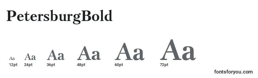 PetersburgBold Font Sizes