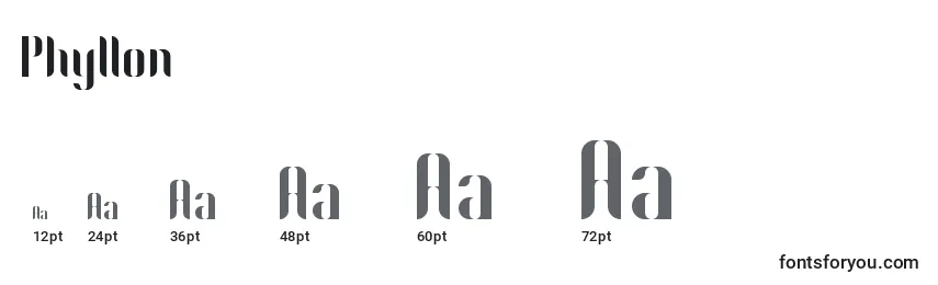 Размеры шрифта Phyllon