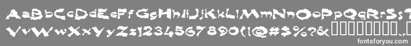 フォントShlophappy – 灰色の背景に白い文字