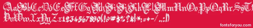 ArgorFlahmScaqh Font – White Fonts on Red Background