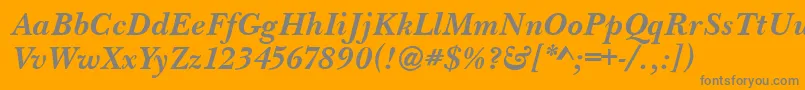 BaskervilleHandcutBolditalic Font – Gray Fonts on Orange Background