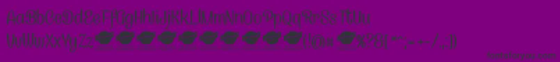 CanelettersansPersonaluse Font – Black Fonts on Purple Background