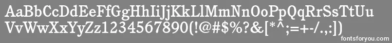 フォントCushingstdMedium – 灰色の背景に白い文字