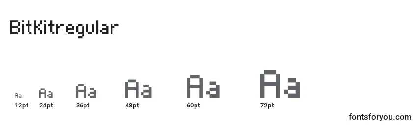 BitKitregular Font Sizes