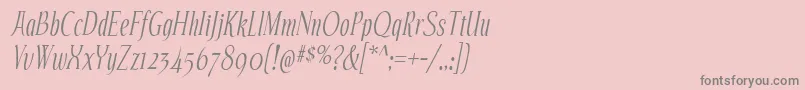 EchelonIt Font – Gray Fonts on Pink Background