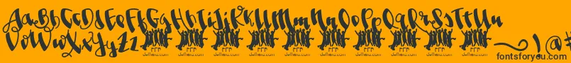 JolgoriaInTownFfp Font – Black Fonts on Orange Background