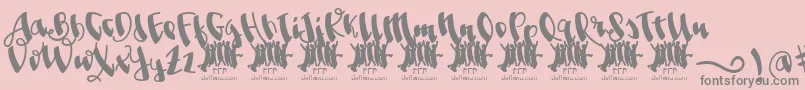 JolgoriaInTownFfp Font – Gray Fonts on Pink Background