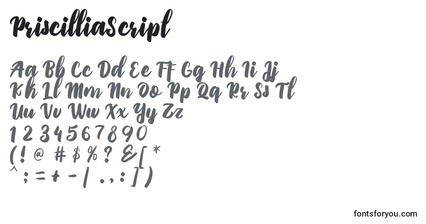 Schriftart PriscilliaScript – Alphabet, Zahlen, spezielle Symbole