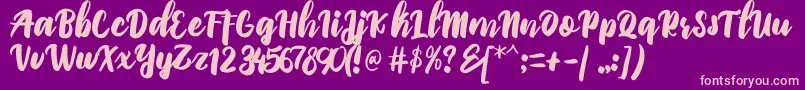 PriscilliaScript Font – Pink Fonts on Purple Background