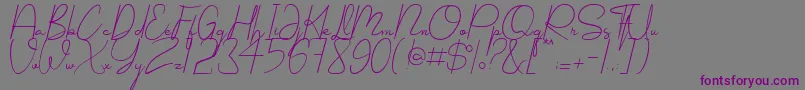 Shellomita Font – Purple Fonts on Gray Background