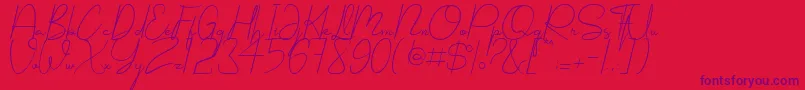 Shellomita-Schriftart – Violette Schriften auf rotem Hintergrund