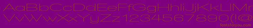 WalkwayUltraexpandSemibold Font – Brown Fonts on Purple Background